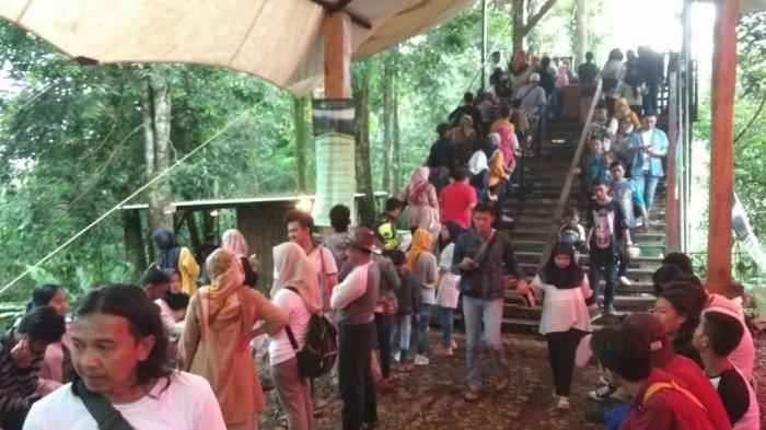 Objek wisata Situgunung Taman Nasional Gunung Gede Panggarango (TNGP) Kabupaten Sukabumi