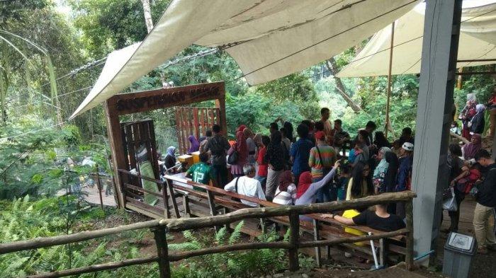 Objek wisata Situgunung Taman Nasional Gunung Gede Panggarango (TNGP) Kabupaten Sukabumi