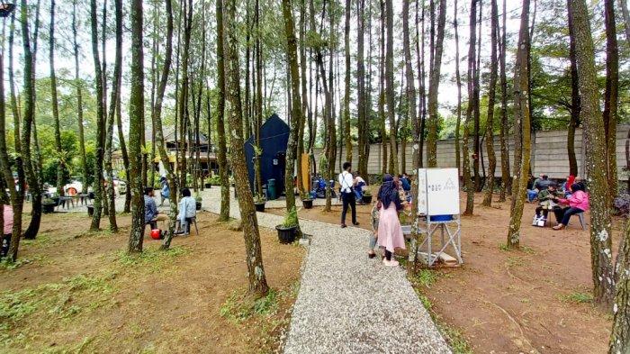 Sisi lain dari kedai kopi ini, terdapat jalan setapak berbatu yang berbaur dengan pepohonan pinus.