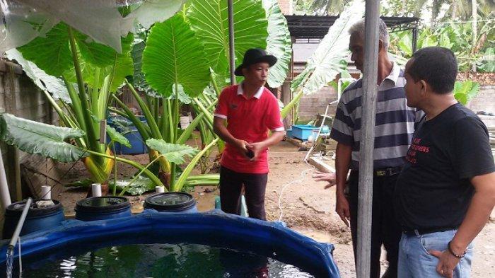 Hendar Suhendar Pembudidaya Perikanan Ciamis (PPC) di kolam koi di rumahnya, Dusun Tanjung, Desa Tanjungsari, Kecamatan Banjaranyar, Ciamis