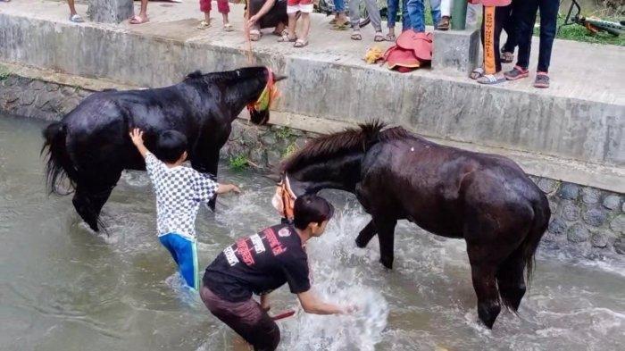Warga memandikan kuda di Surakatiga, Cikedung, Kabupaten Kuningan