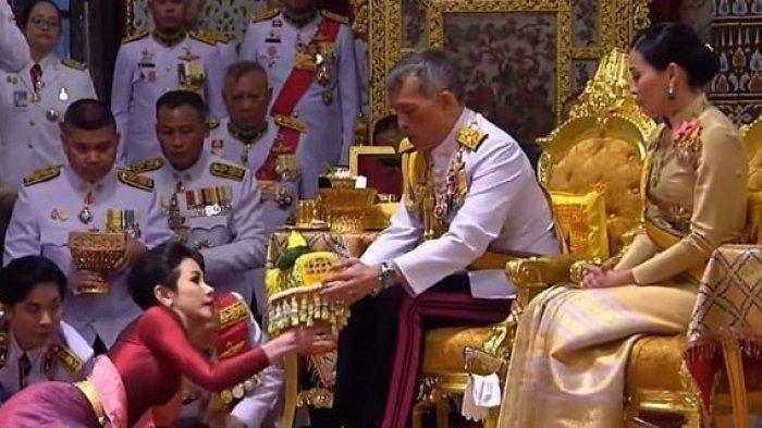 Raja Thailand, Maha Vajiralongkorn atau Raja Rama X duduk di singgasana bersama Ratu Suthida sementara Sineenat Wongvajirapakdi merangkak saat prosesi penobatan selir.