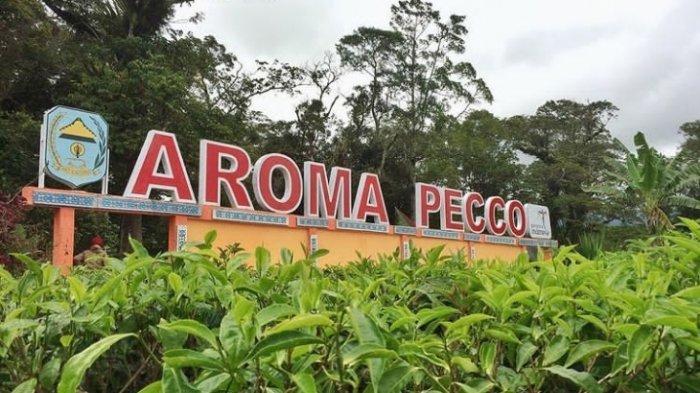 Aroma Pecco