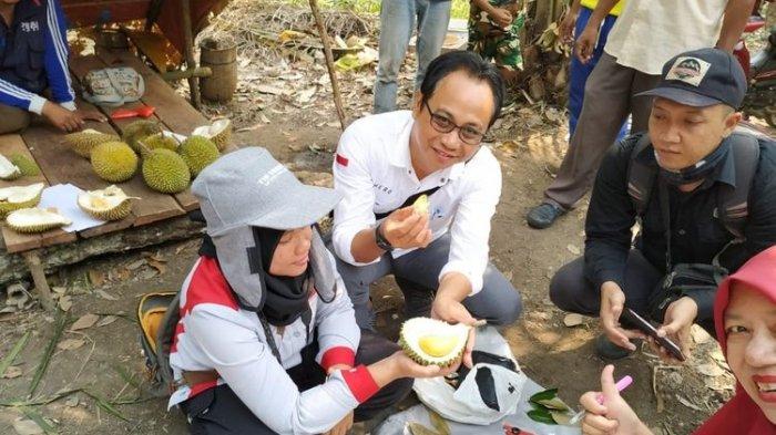 Durian dari pohon berusia 100 tahun di Kalimantan Barat