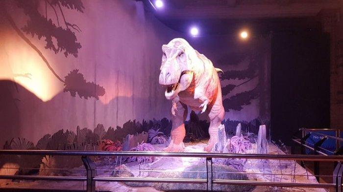 Replika Tyrannosaurus rex atau T-rex di Dinosaurs Hall di Natural History Museum London, Senin (6/11/2017). Replika ini memberikan sensasi berjumpa dengan T-rex kepada pengunjung.
