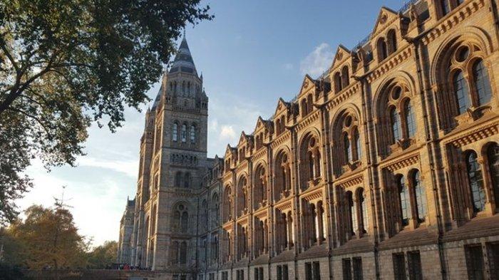 Natural History Museum di London, Inggris, merupakan museum sejarah alam yang memiliki 80 juta spesimen dari lima koleksi utama, yaitu botany (tumbuhan), entomology (serangga), mineralogy (mineral), paleontology (fosil hewan dan tumbuhan) serta zoology (hewan).