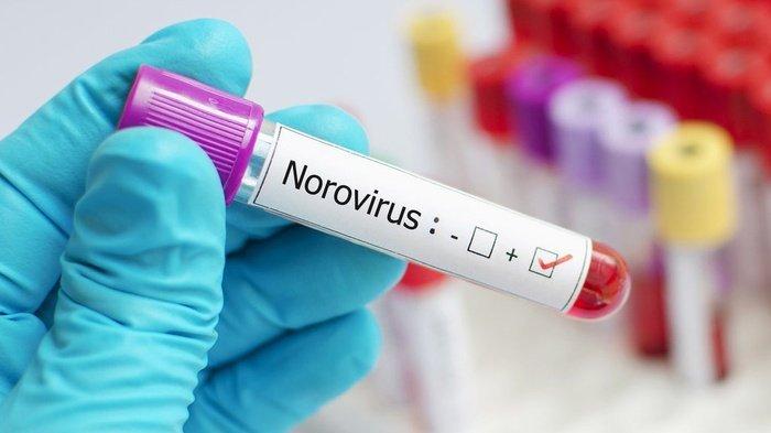 Kenali Norovirus, Virus Diare Di China