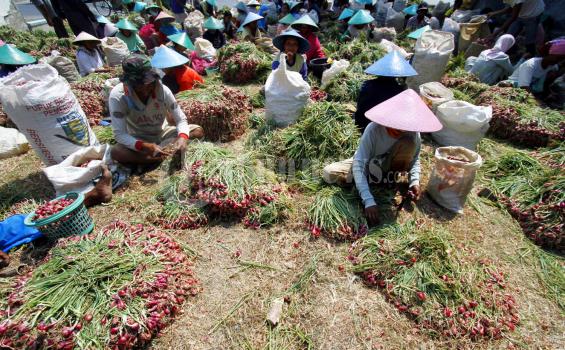 Ekonomi Jawa Tengah Tumbuh Lebihi Pertumbuhan Nasional