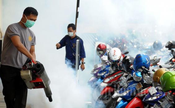 Fogging Tak Efektif, Malah Justru Lahirkan Nyamuk-nyamuk Kebal