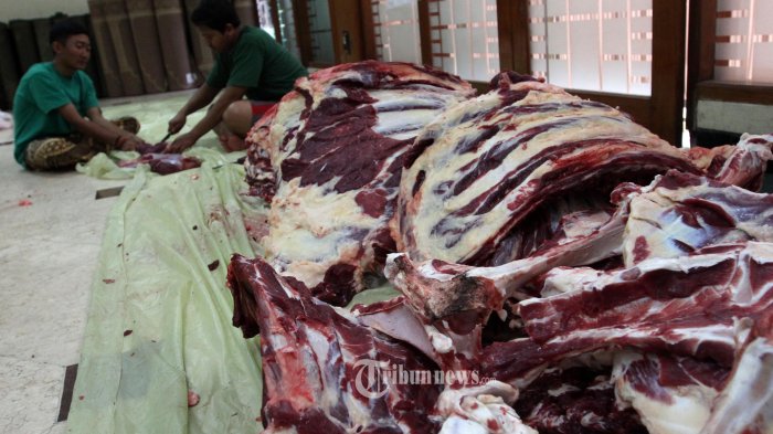 Jangan Pakai Kresek Hitam Lagi untuk Bagikan Daging Kurban, Ini 4 Wadah Ramah Lingkungan