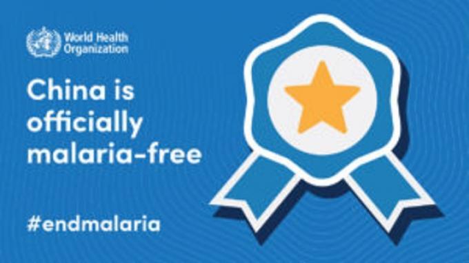 WHO Beri Sertifikasi Bebas Malaria Kepada China Setelah 70 Tahun Berjuang Hadapi Wabah
