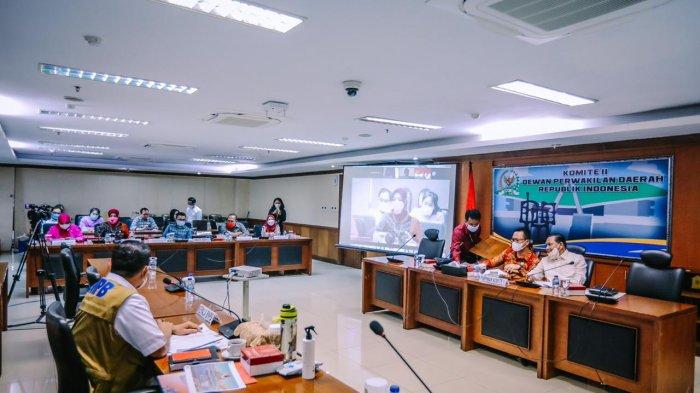 Komite II DPD RI Dukung Penguatan BNPB