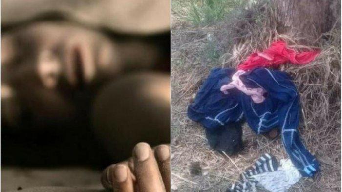 Budiono Temukan Gadis Tanpa Busana di Lahan Kosong, Korban Ternyata Mahasiswi