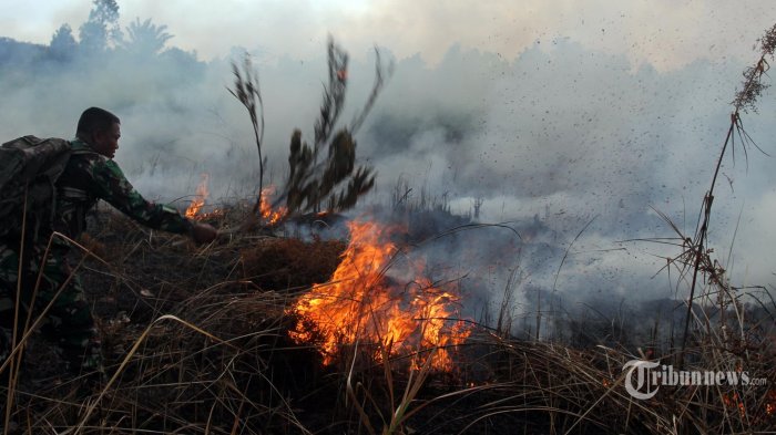 Indonesia Terancam Alami Kekeringan, Berikut Daerah yang Masuk Status Awas dan Waspada