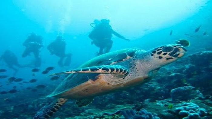 Kemenpar Giliran Digitalkan Industri Pariwisata Labuan Bajo dan Flores