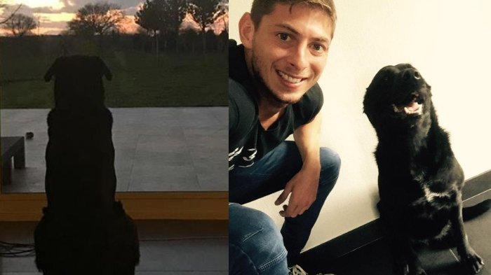 Kesetiaan Anjing Peliharaan Pesepak Bola Emiliano Sala Selalu Tunggui Jenazah Sang Majikan