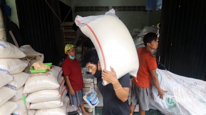 Produksi Panen Naik, Potensi Produksi Beras Januari-April 2021 Naik 3 Juta Ton
