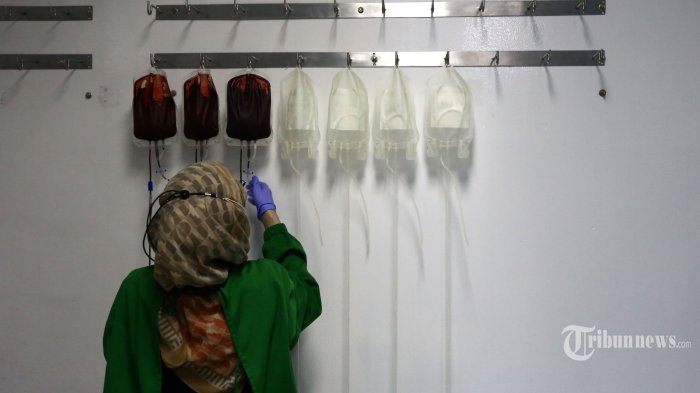 Syarat Donor Darah di PMI dan 7 Manfaat Bila Rutin Donor Darah