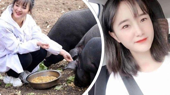 Gelisah Putrinya Belum Dapat Jodoh, Seorang Ayah Tawarkan 300 Babi bagi Siapapun yang Nikahi Anaknya