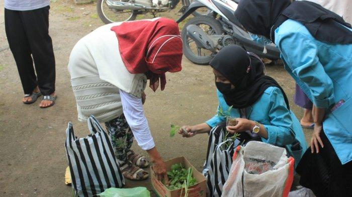 KKN di Masa Pandemi, Mahasiswa UNS Ajak Warga Manfaatkan Perkarangan Rumah untuk Tanam Sayur & TOGA