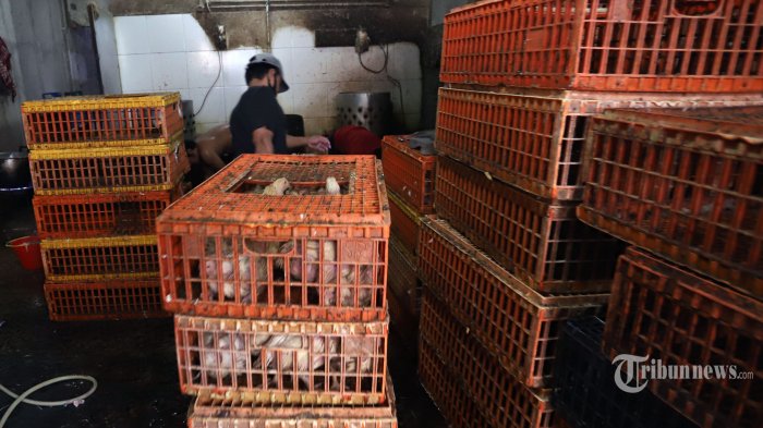 Harga-harga Bahan Pangan Mulai Terkerek di Awal Ramadan