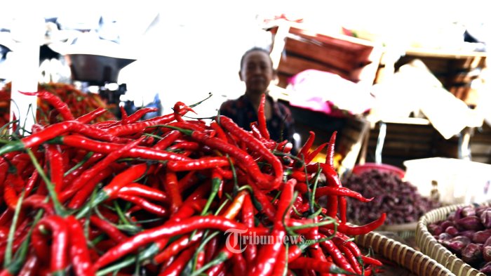 UPDATE Harga Cabai Merah di 34 Provinsi Indonesia, Kamis 22 September 2022, Relatif Turun