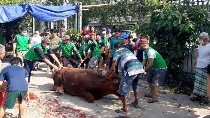 Tanggapan KAI tentang Warga Potong Hewan Kurban di Pinggir Rel Kereta karena Lahan Terbatas