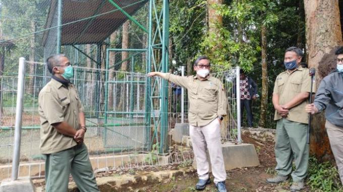 Kunjungi Habituasi Elang Jawa, Wamen Alue: Ada Potensi Besar Sarana Pendidikan dan Pelatihan