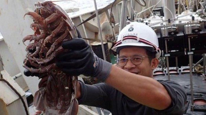 Peneliti LIPI Temukan Kecoak Raksasa di Selat Sunda, Ini Penampakannya