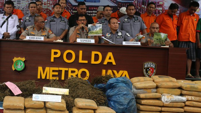 Puluhan Kilogram Ganja Diselipkan di Truk Pengangkut Duren, Polisi Temukan 5 Hektare Ladang Ganja
