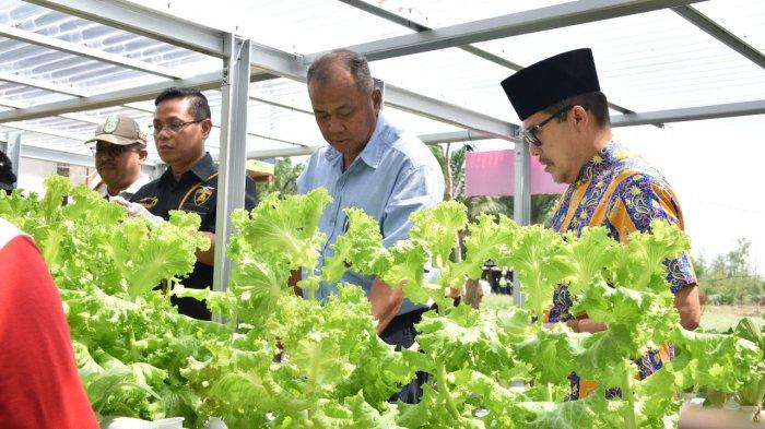 Tingkatkan Pendapatan Kelompok Tani, Pertamina Dumai Kembangkan Program Pemberdayaan Masyarakat