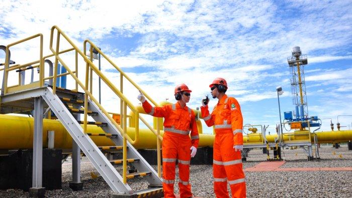 PGN Optimalisasi Pemanfaatan Gas Bumi di Proyek Strategis Gas Bumi Nasional