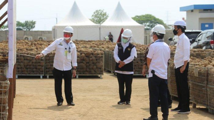 Jokowi Yakin Sektor Pertanian akan Tumbuh Positif pada Kuartal III 2021
