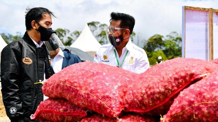Presiden Jokowi didampingi Mentan SYL Tinjau Food Estate di Kabupaten Humbahas