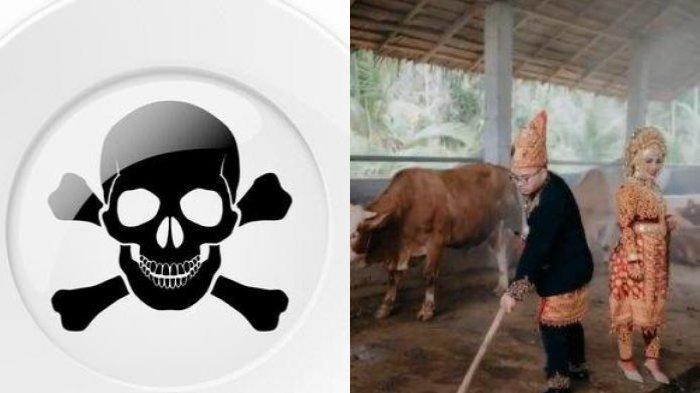 POPULER Regional: 4 Polisi Keracunan setelah Makan Bakso | Viral Foto Prewedding di Kandang