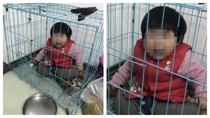 Ayah Kurung Anak Sendiri di Kandang Anjing, Kirim Fotonya pada Mantan Istri untuk Mengejeknya