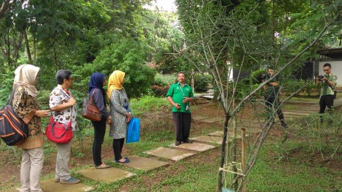 40 dari 150 Jenis Minyak Atsiri yang Ada, Bisa Diproduksi di Indonesia: Ini Dia Segudang Manfaatnya