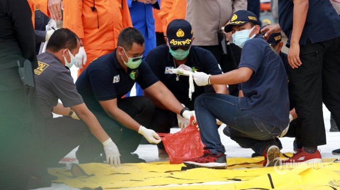 Sriwijaya Air SJ 182 Tidak Meledak di Udara, KNKT Bantah Pesawat Full Stall saat Jatuh
