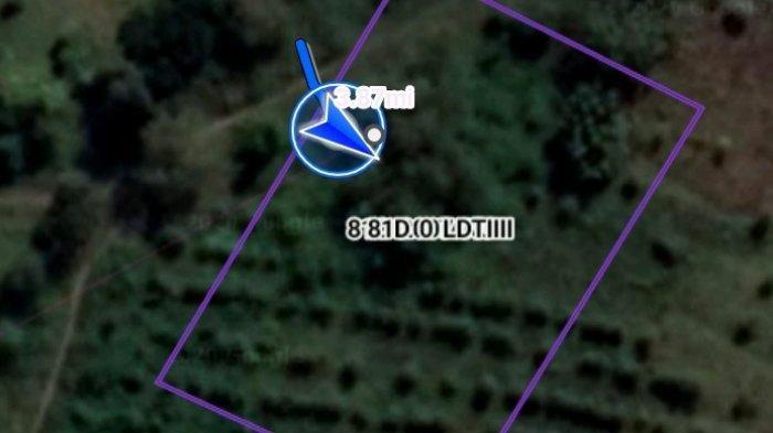 Sebidang Tanah Perhutani di Mojokerto Disiapkan Jadi Pemekaman Khusus Untuk Korban Covid-19
