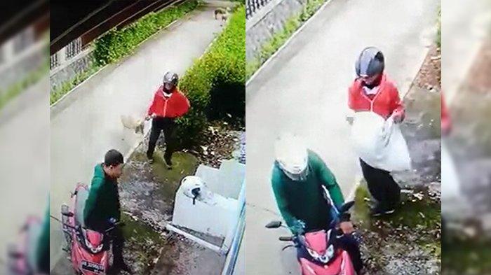Viral Rekaman Pencurian Kambing, Kapolsek Sambi Imbau Masyarakat Berhati-hati Jaga Ternaknya