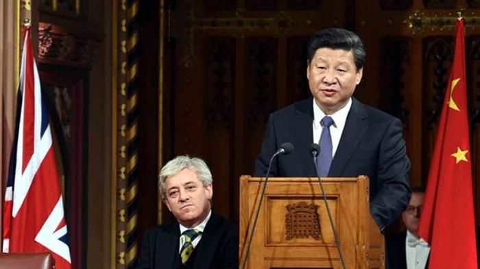 Laporan Parlemen Inggris: China Ingin Kendalikan WHO hingga Interpol dan Memperdaya Negara Lain