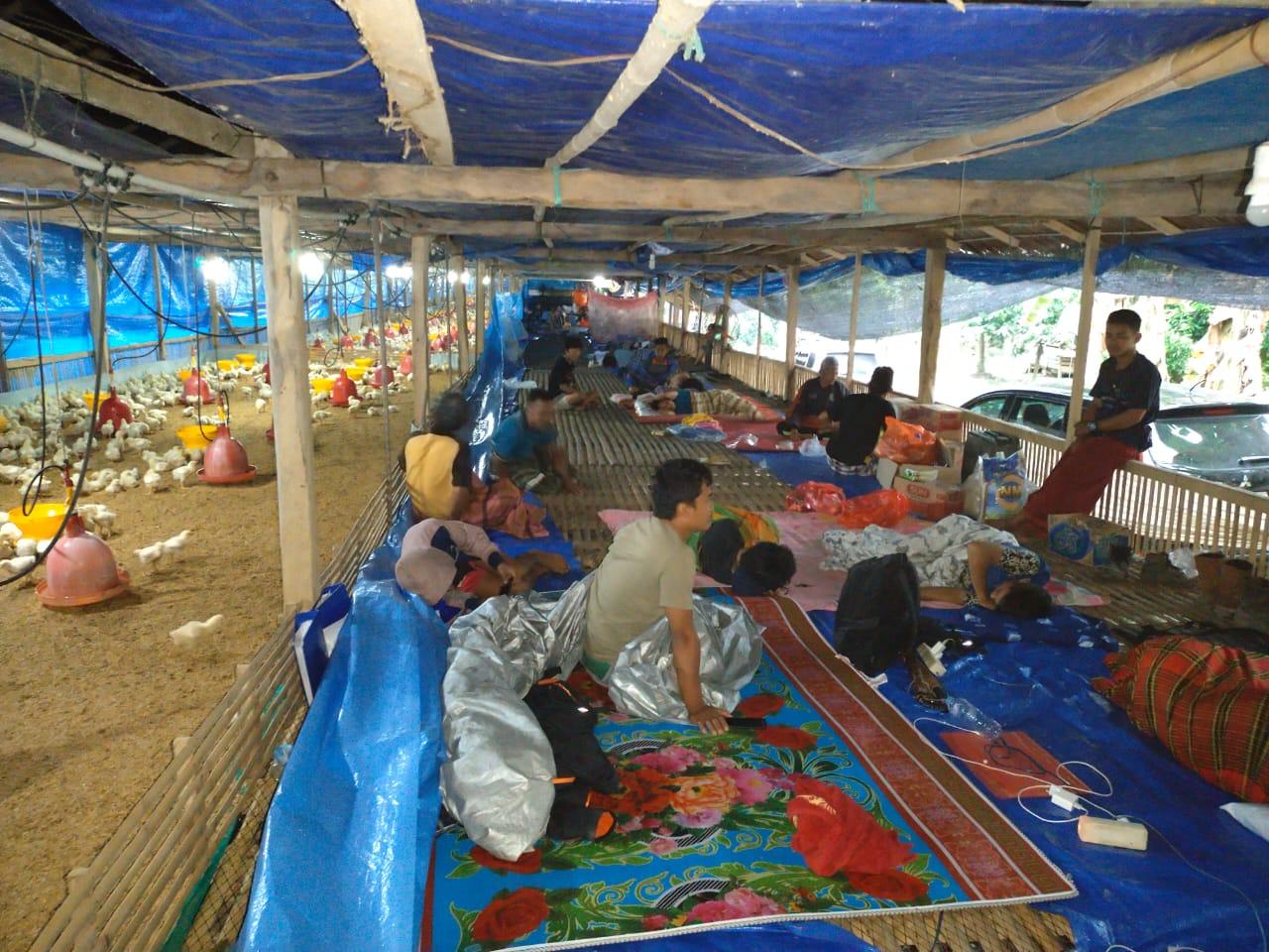 foto pengungsi di kandang ayam