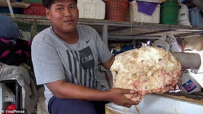 Chalermchai-Mahapan-membawa-muntahan-paus-atau-ambergris-temuannya.jpg