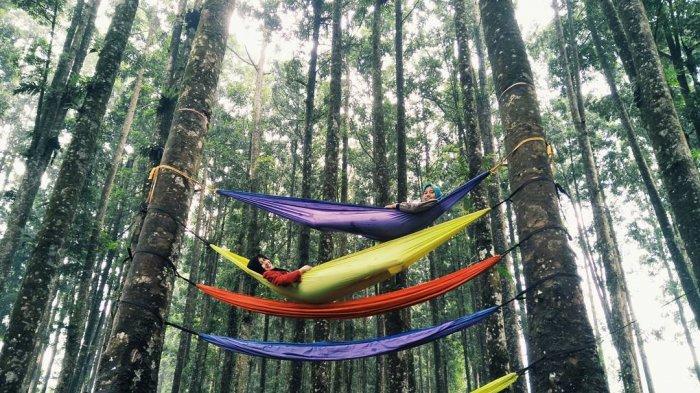 Hammock 2