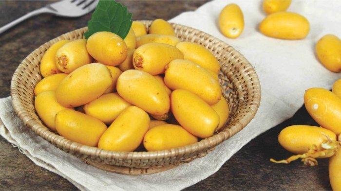 Kurma-Muda.jpg