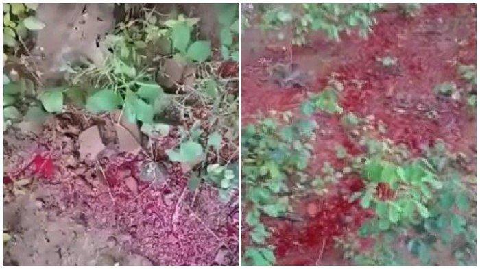 Misteri Cairan Merah Mirip Darah Keluar dari dalam Tanah
ertanyaa