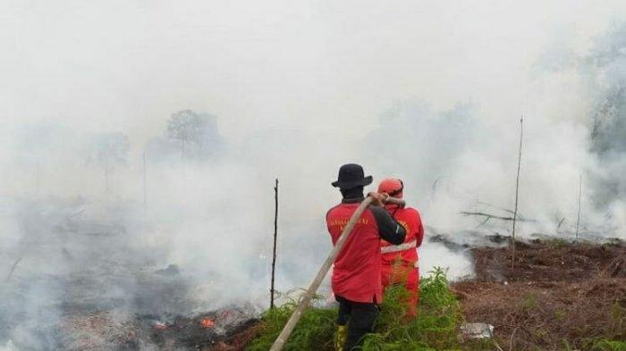 kabut-pekanbaru-1.jpg