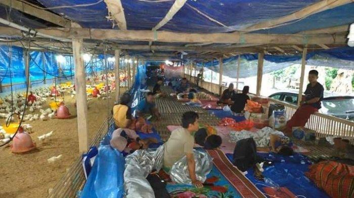 korban-gempa-majene-tinggal-di-kandang-ayam.jpg