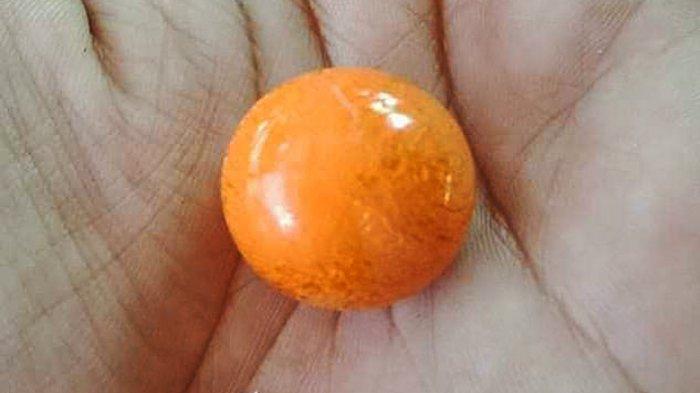 mutiara melo langka 01