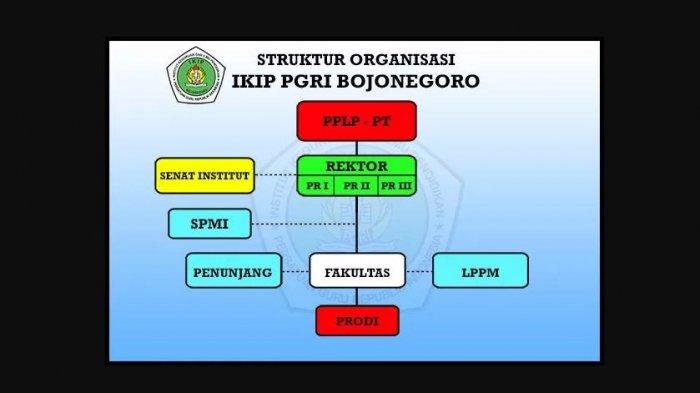 Struktur Organisasi 2